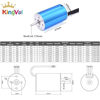 Amazon.com: KingVal Replacement 2845 5900KV Brushless